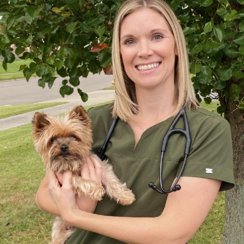 abby coppel - galena vet